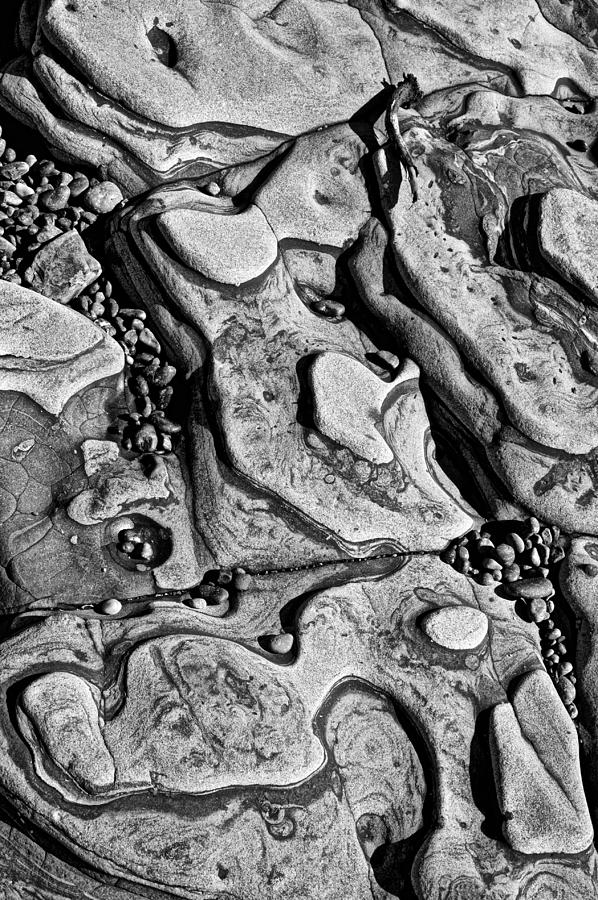 Still Life Photograph - Sea shaped stones by Garry Gay