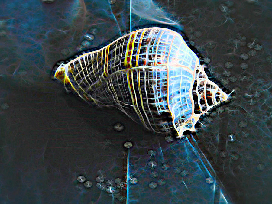 Sea Shell Abstract 5 Digital Art by Cathy Anderson