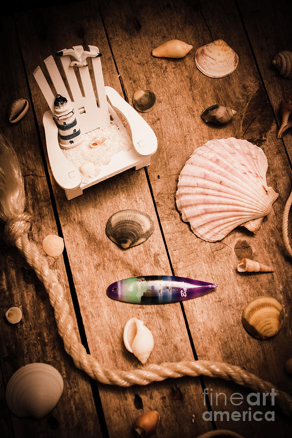 Sea shell decking Photograph by Jorgo Photography