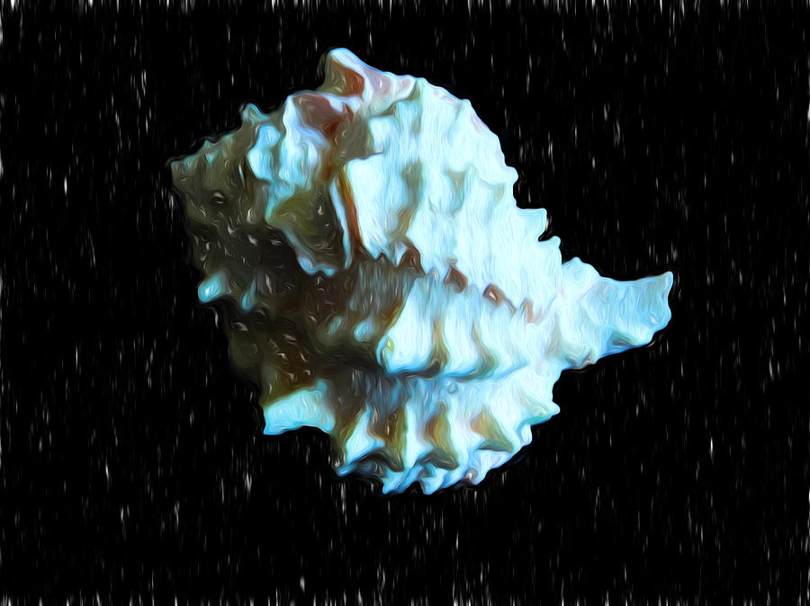 Sea Shell Digital Painting Digital Art by Cathy Anderson