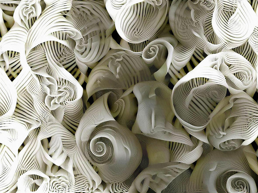 Sea Shells Digital Art by Bruce Rolff