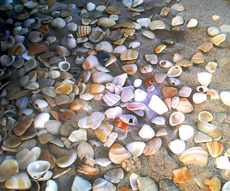 Sea Shells Painting by Evelyn Patrick