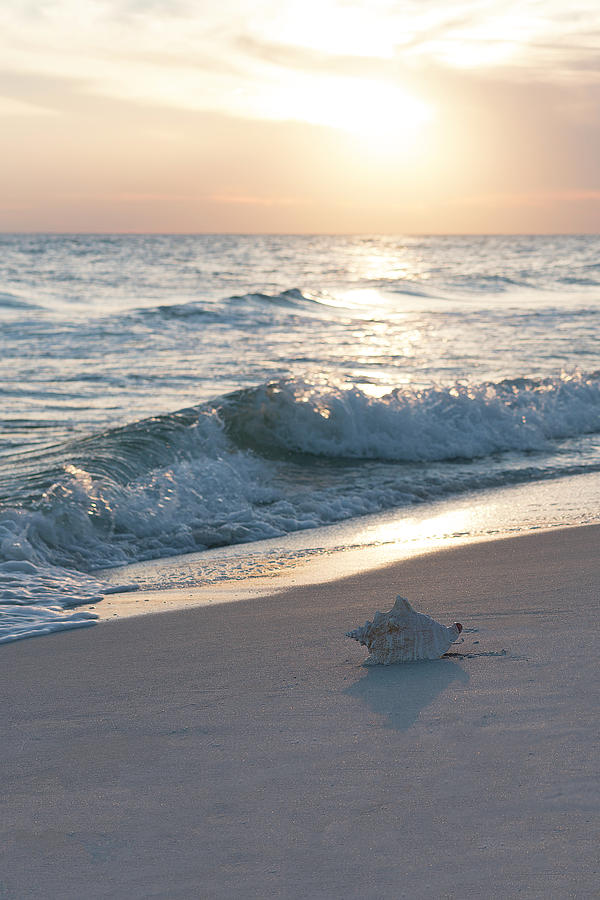 Sunset Photograph - Sea Shore Bliss by Janet Fikar