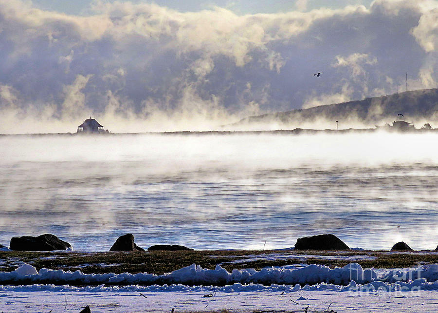 Sea Smoke Photograph by Janice Drew