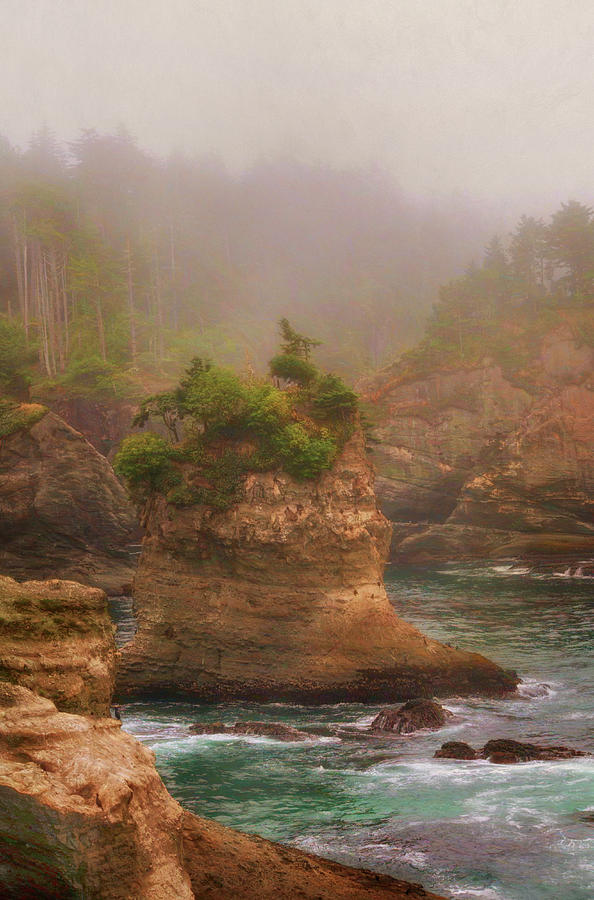 Sea Stack - Cape Flattery, Washington Photograph by Mitch Spence