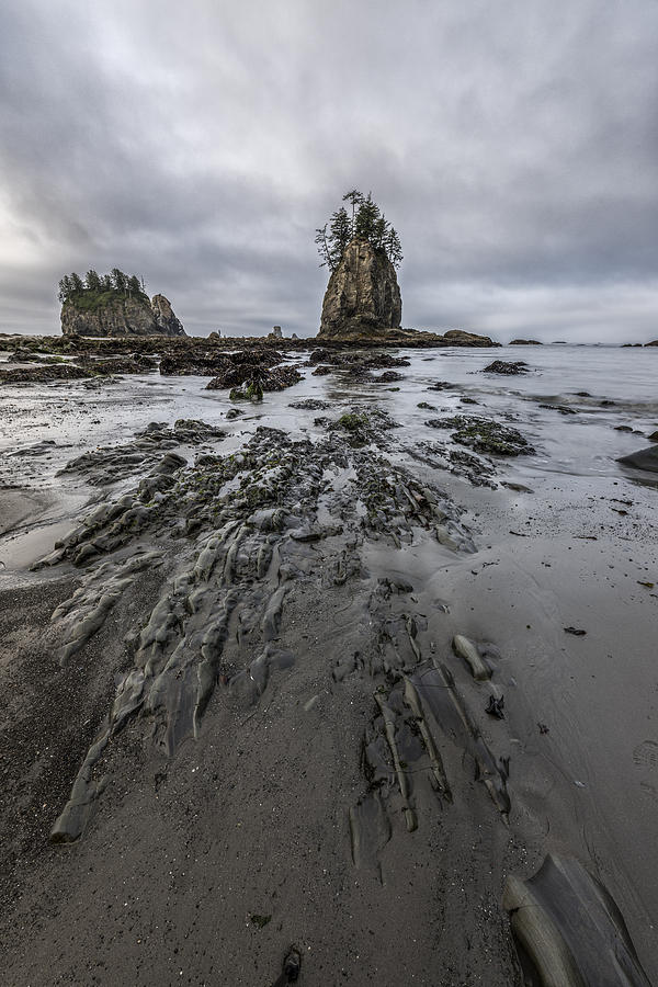 Sea Stack Paradise Photograph by Jon Glaser