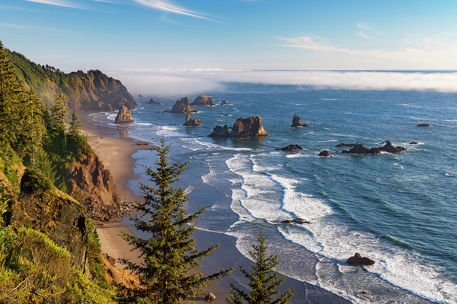 Sea Stacks Along the Oregon Coastline Photograph by Rick Pisio