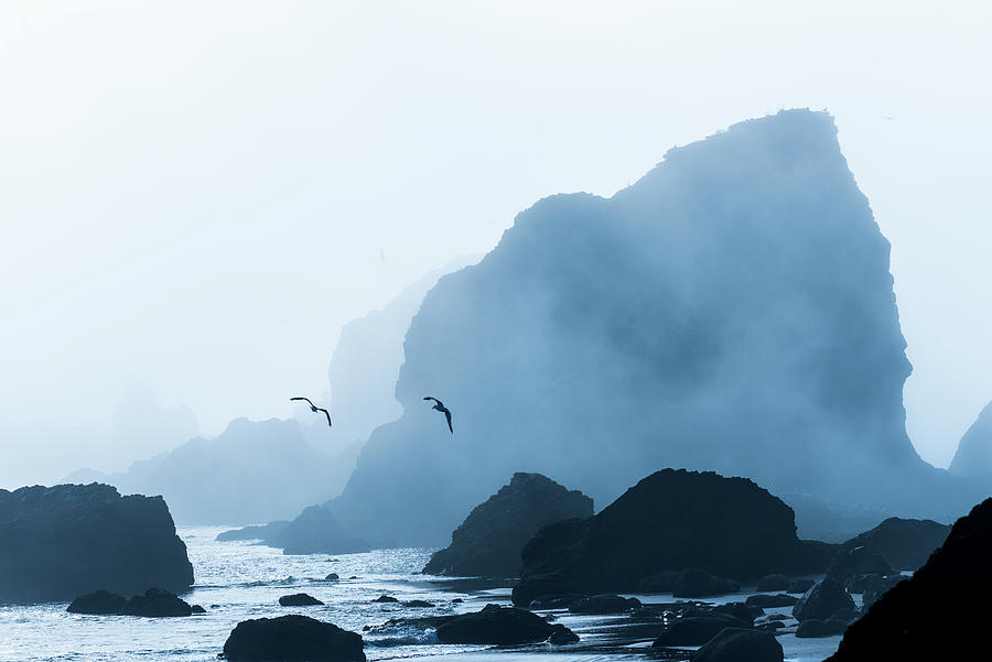 Sea Stacks and Fog Photograph by Robert Potts