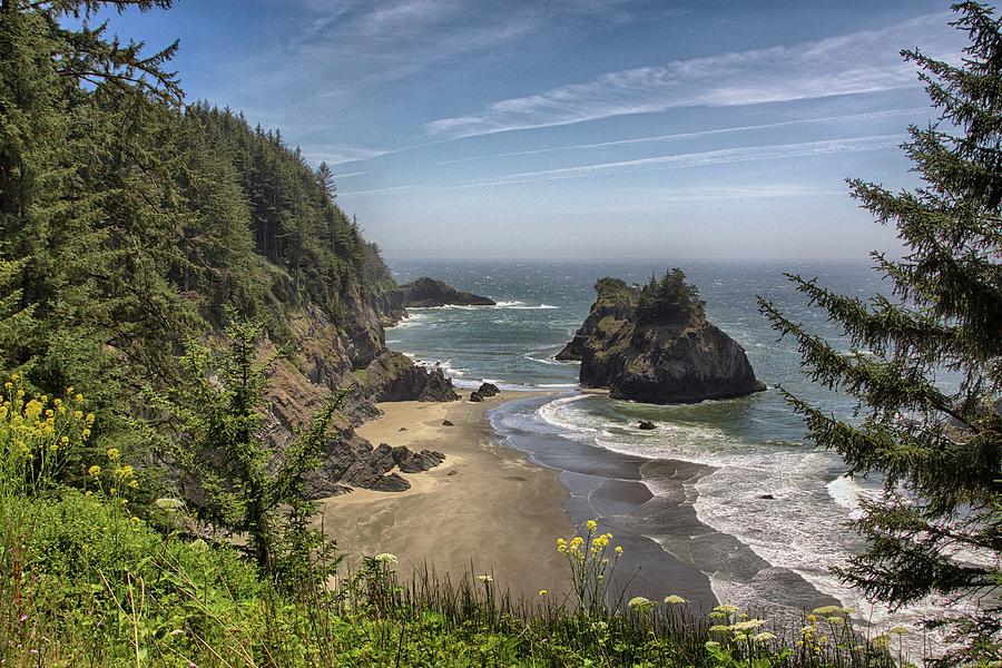Oregon Photograph - Sea Stacks and Wildflowers by Harold Rau