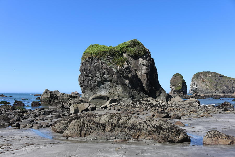 Sea Stacks at Harris Beach - 6 Photograph by Christy Pooschke