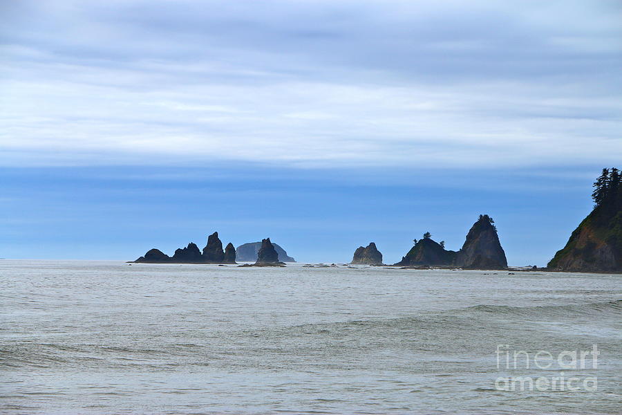 Sea Stacks At Rialto Beach Photograph by Christiane Schulze Art And Photography