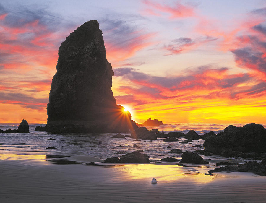 Sea Stacks on the Oregon Coast Photograph by Buddy Mays