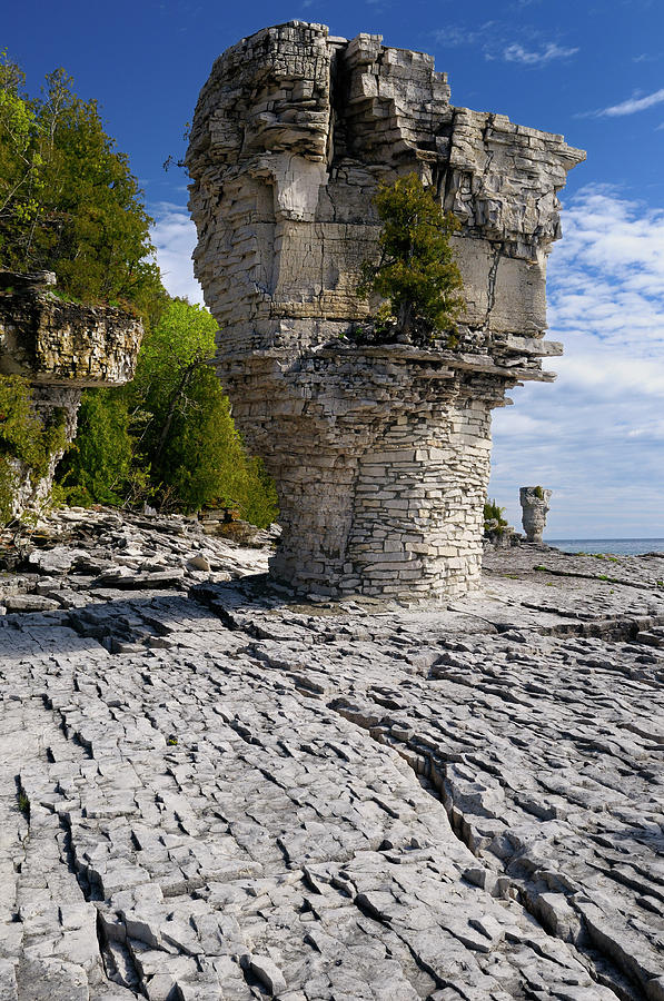 Spring Photograph - Sea stacks rising out of Niagara Escarpment limestone on Flowerp by Reimar Gaertner