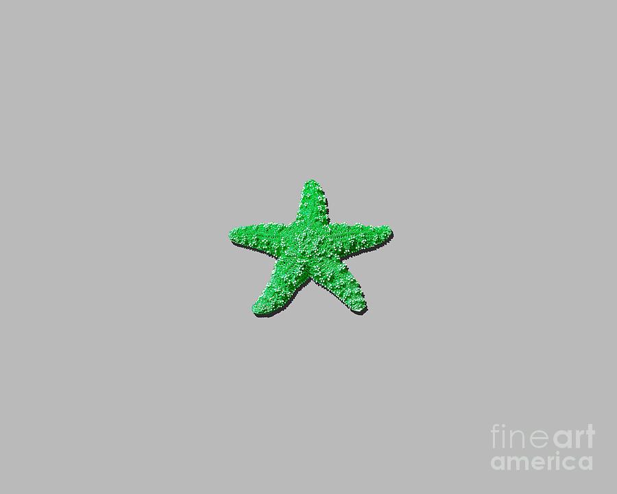 Sea Star Green .png Photograph by Al Powell Photography USA