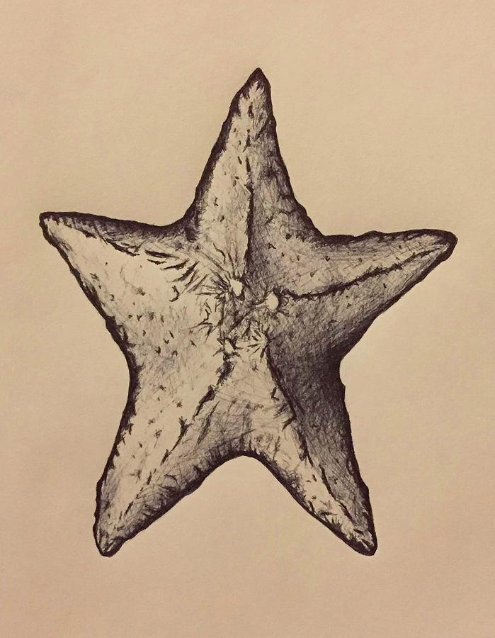 realistic starfish drawing｜TikTok Search