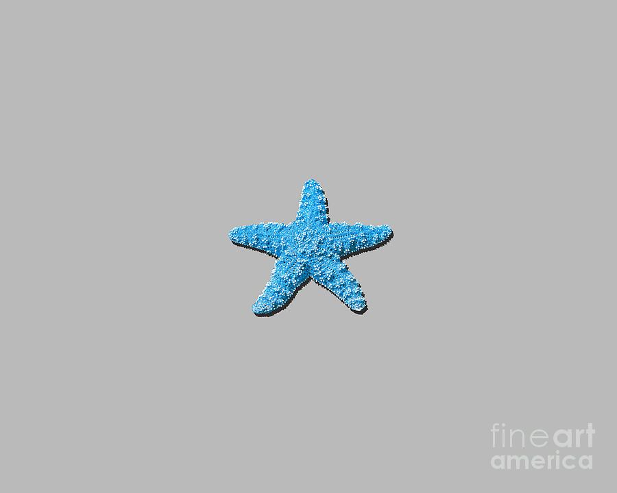 Sea Star Light Blue .png Photograph by Al Powell Photography USA