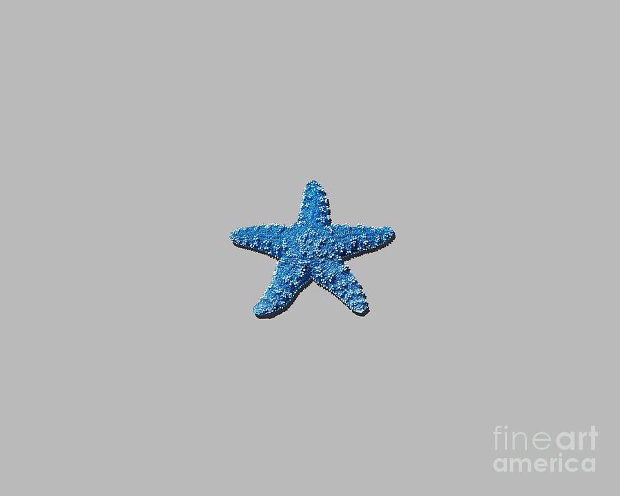 Sea Star Medium Blue .png Photograph by Al Powell Photography USA