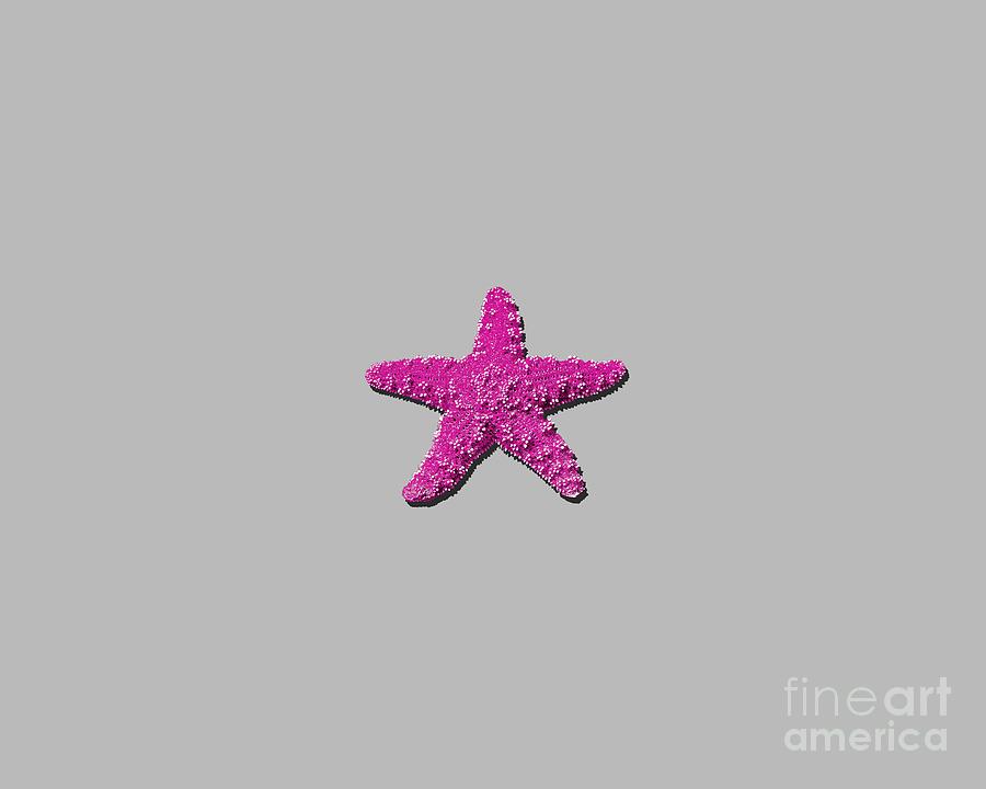 Sea Star Pink .png Photograph by Al Powell Photography USA