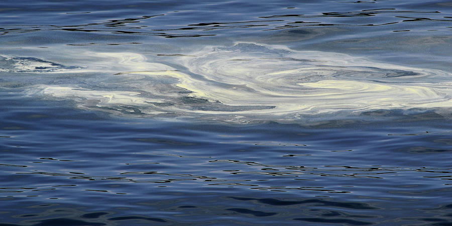 Sea Swirls Photograph by Nadalyn Larsen