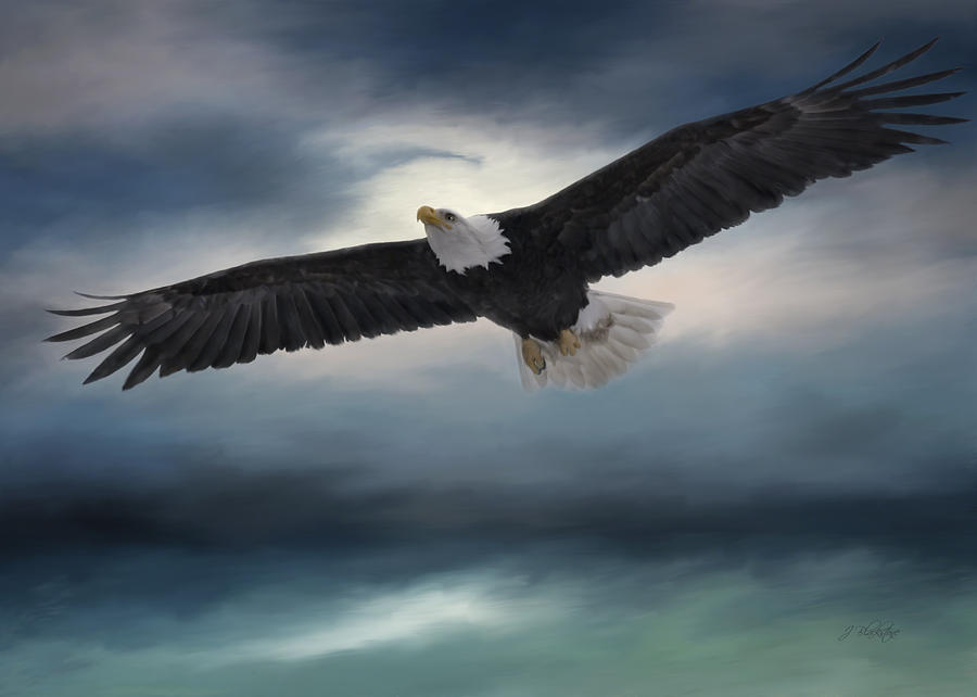 Sea To Sky - Eagle Art Photograph by Jordan Blackstone