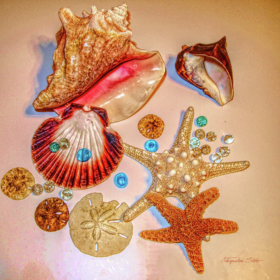 Sea Treasures by Jacqueline Sleter Sea Treasures by Jacqueline Sleter