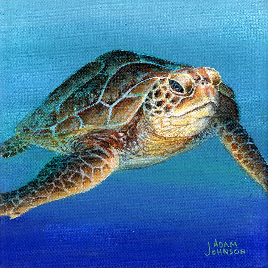 Sea Turtle 1 of 3 Painting by Adam Johnson