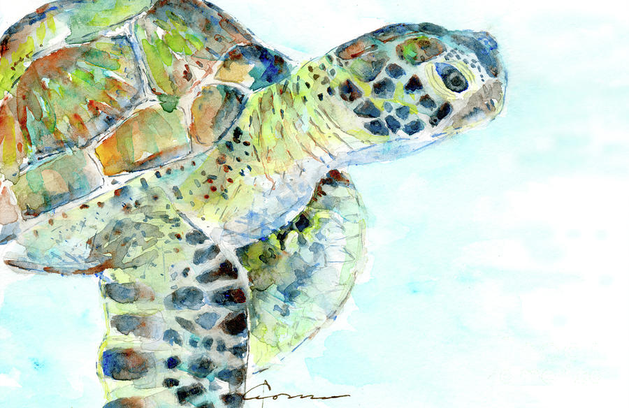 Sea Turtle 11 - 10x6.5 Painting by Claudia Hafner