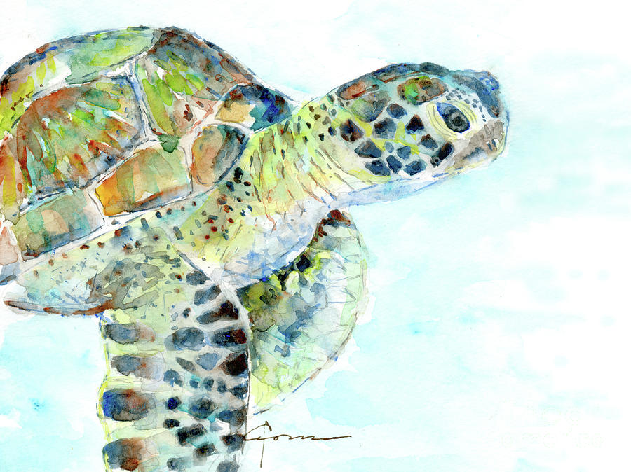 Sea Turtle 11 Rectangle Painting by Claudia Hafner