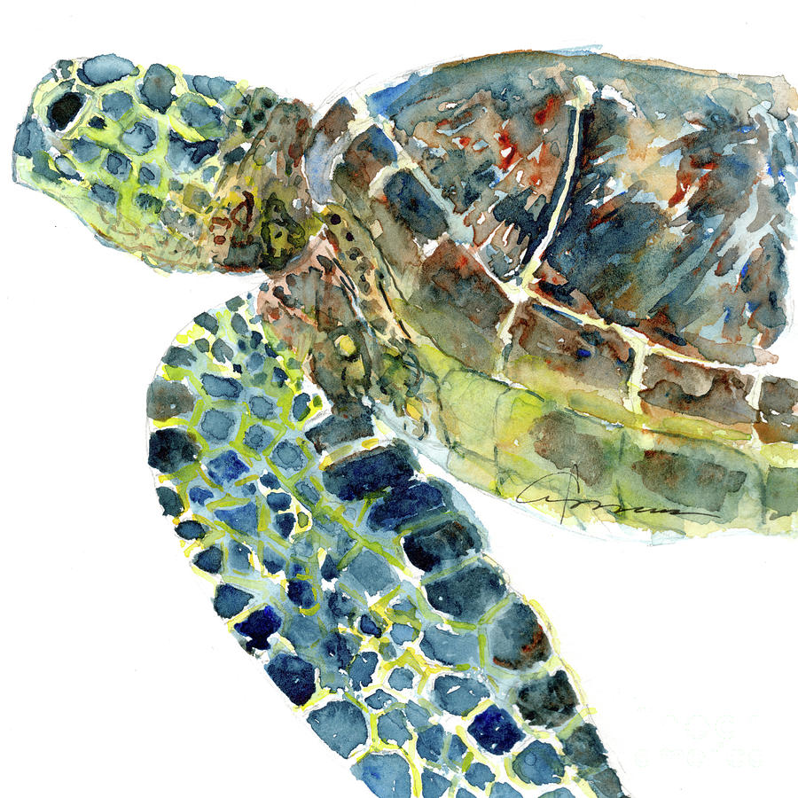 Sea Turtle 14 Painting by Claudia Hafner