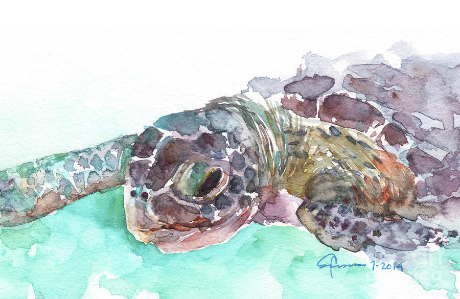 Sea Turtle 2 - 10x6.5 Painting by Claudia Hafner
