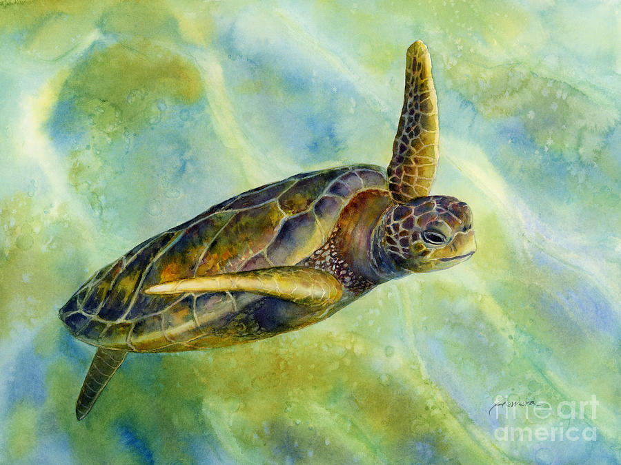 Wildlife Painting - Sea Turtle 2 by Hailey E Herrera