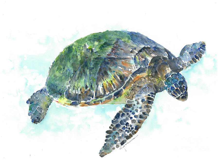 Sea Turtle #20 Painting by Claudia Hafner