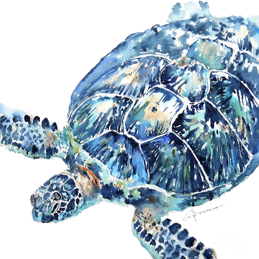 Sea Turtle 8 - Square Painting by Claudia Hafner