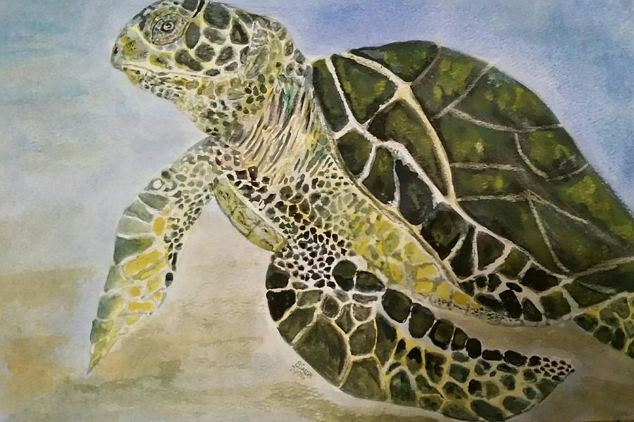 Sea turtle Painting by Brenda Sauve - Fine Art America