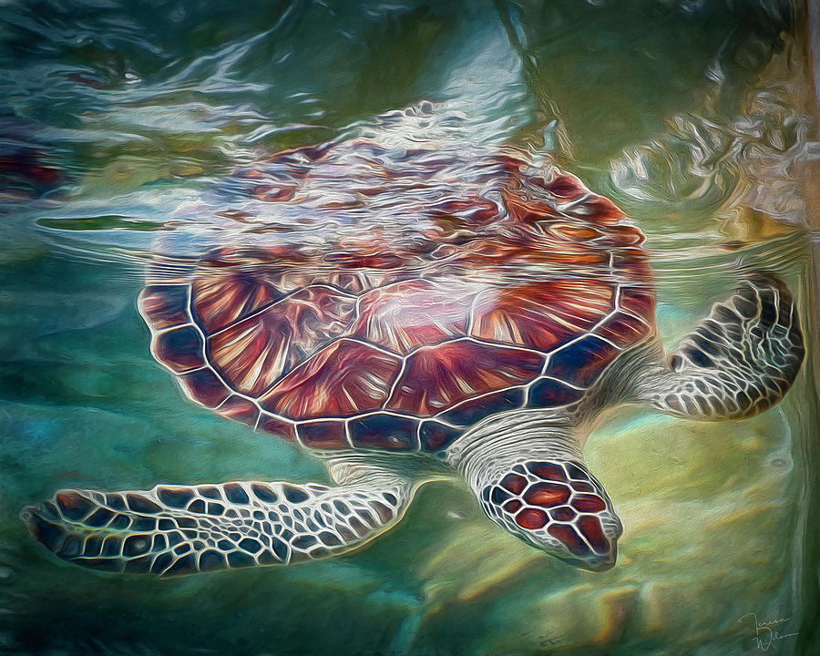 Sea Turtle Dive Photograph by Teresa Wilson