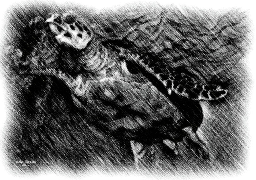 sea Turtle Drawing Digital Art by Artful Oasis