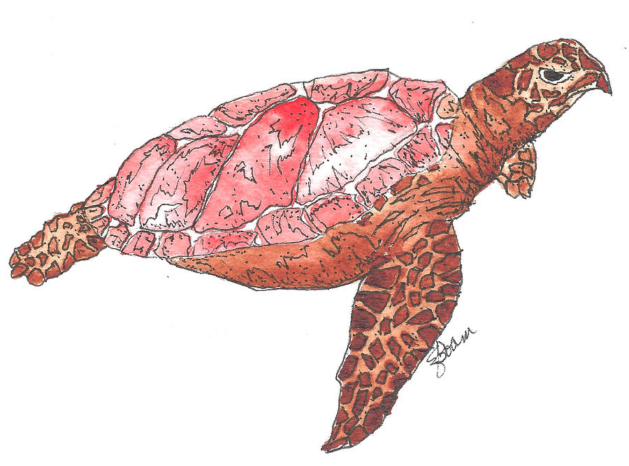 Sea Turtle Painting by Elise Boam