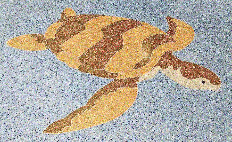 Sea Turtle Inlay In Mottled Colors Digital Art By Marian Bell