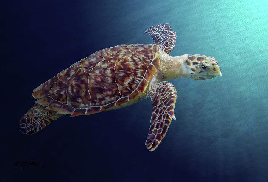 Sea Turtle Painting by Kathie Miller