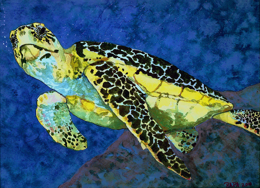 Sea Turtle Painting by Rhonda Anderson - Fine Art America