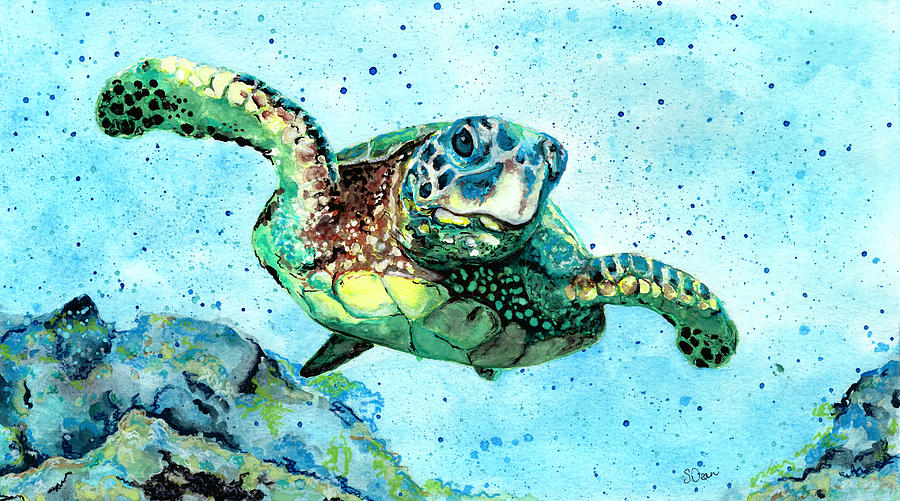 Sea Turtle Painting by Sara Homerding - Fine Art America