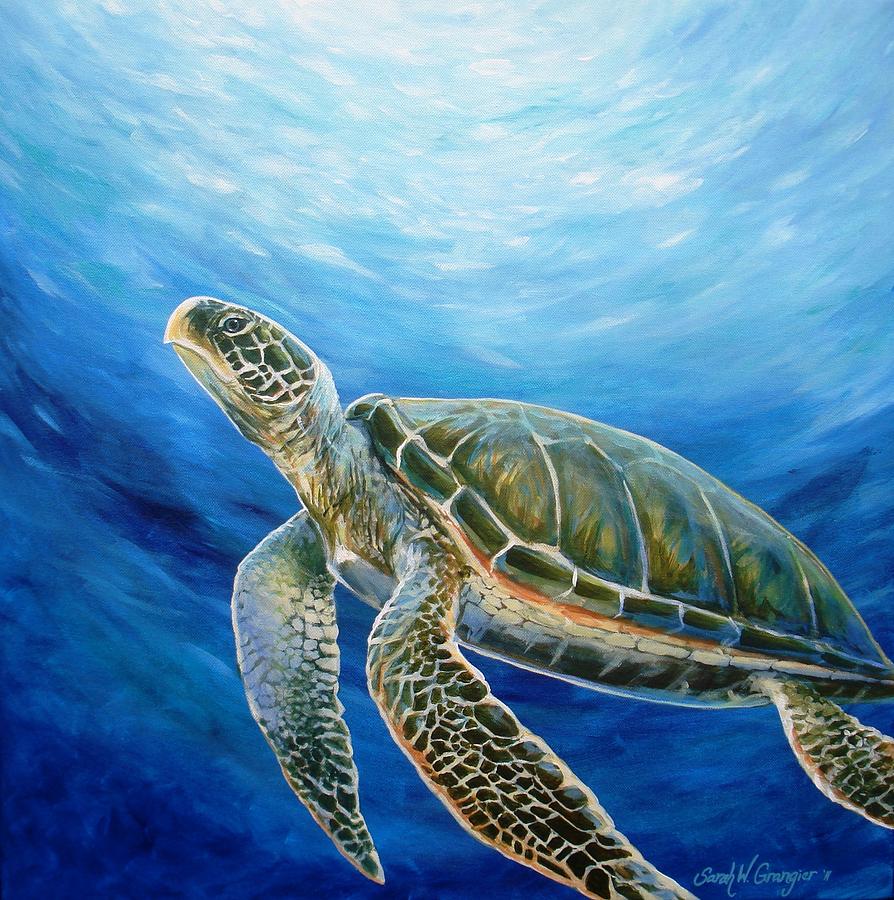 Sea Turtle by Sarah Grangier