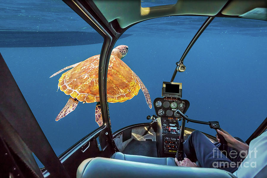 Turtle Photograph - Sea Turtle submarine by Benny Marty