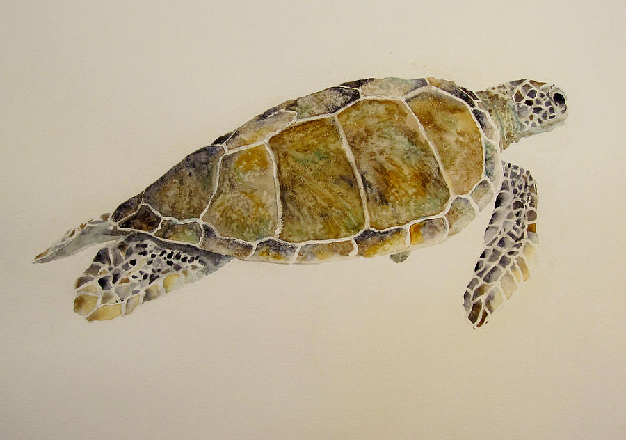 Turtle Painting - Sea Turtle by Theresa Higby Turtle Painting - Sea Turtle by Theresa Higby