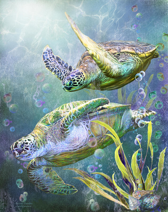 Carol Cavalaris Mixed Media - Sea Turtles - Ancient Travelers by Carol Cavalaris