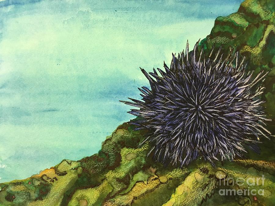  Sea Urchin   Mixed Media by Mastiff Studios
