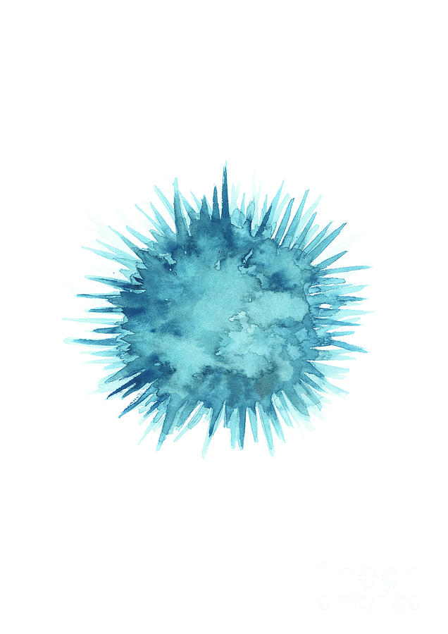 Abstract Painting - Sea urchin watercolor art print by Joanna Szmerdt
