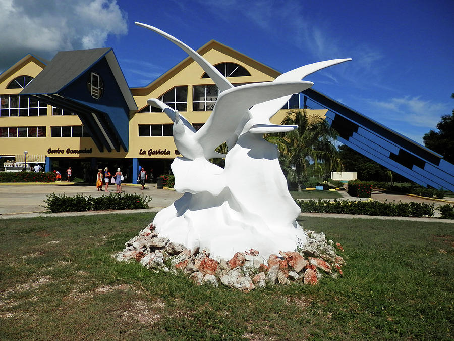 Seabird Statue Photograph by Pema Hou