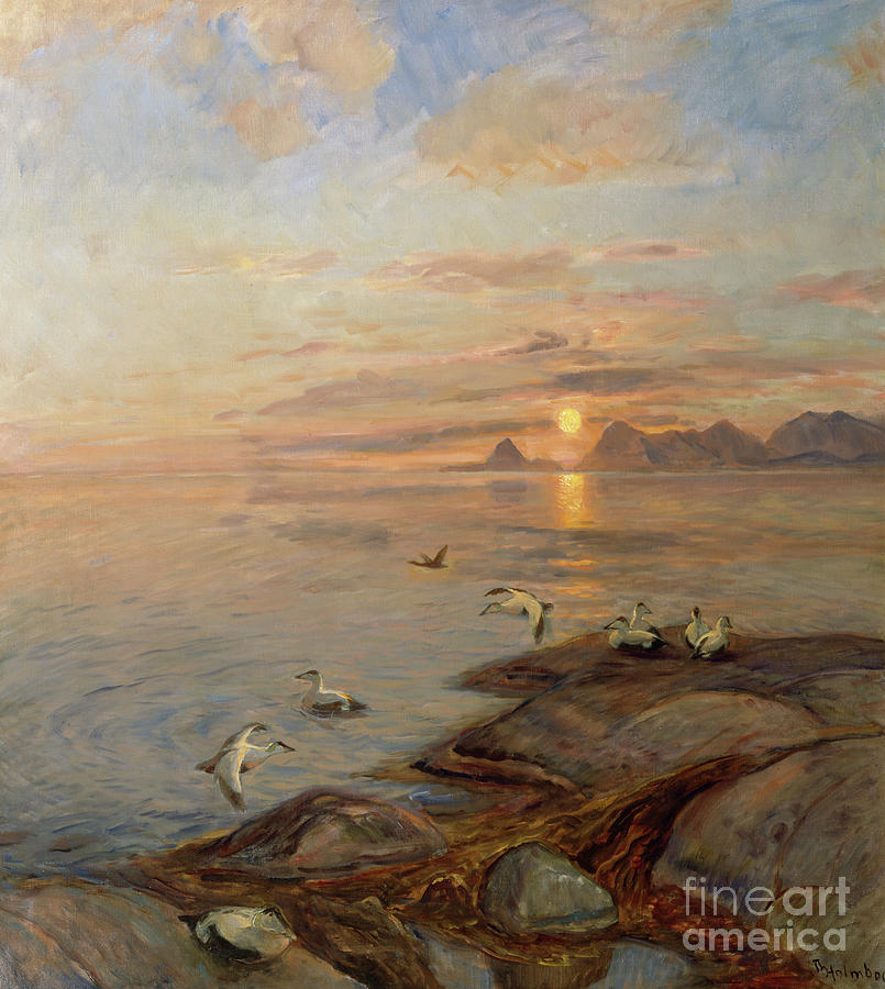 Seabirds in midnight sun Painting by by O Vaering