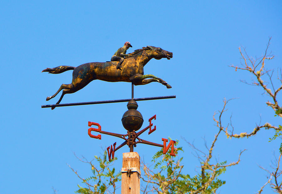 Seabiscuits Weather vane Photograph by Josephine Buschman